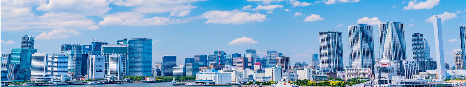 プロジェクトストーリー